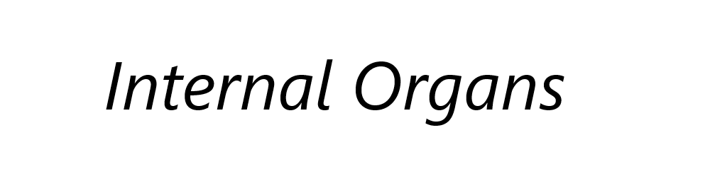 Learn the Internal Organs of the Human Body in English and Spanish