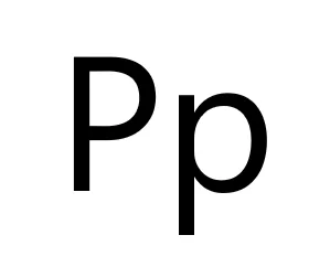 Spanish Words That Start With P