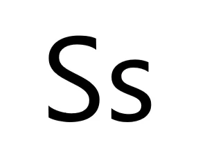 Spanish Words That Start With S