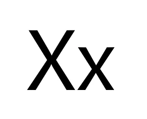 Spanish Words That Start With X